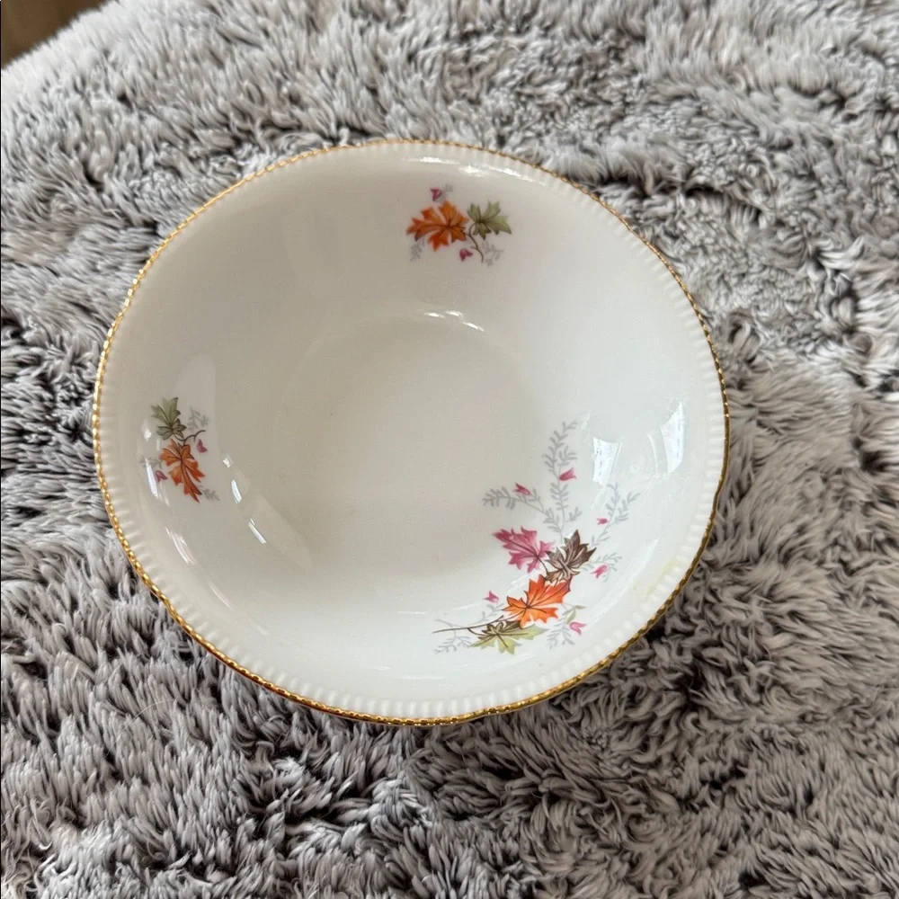 Winterling Bavaria‎ Germany Autumn Leaves Set of 4 Fruit Dessert Bowls 5.5